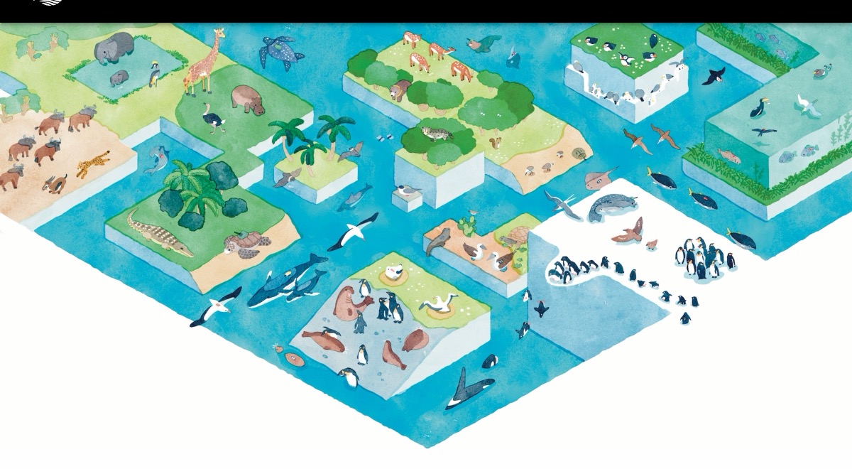 BiP earth：バイオロギングデータの統合プラットフォーム