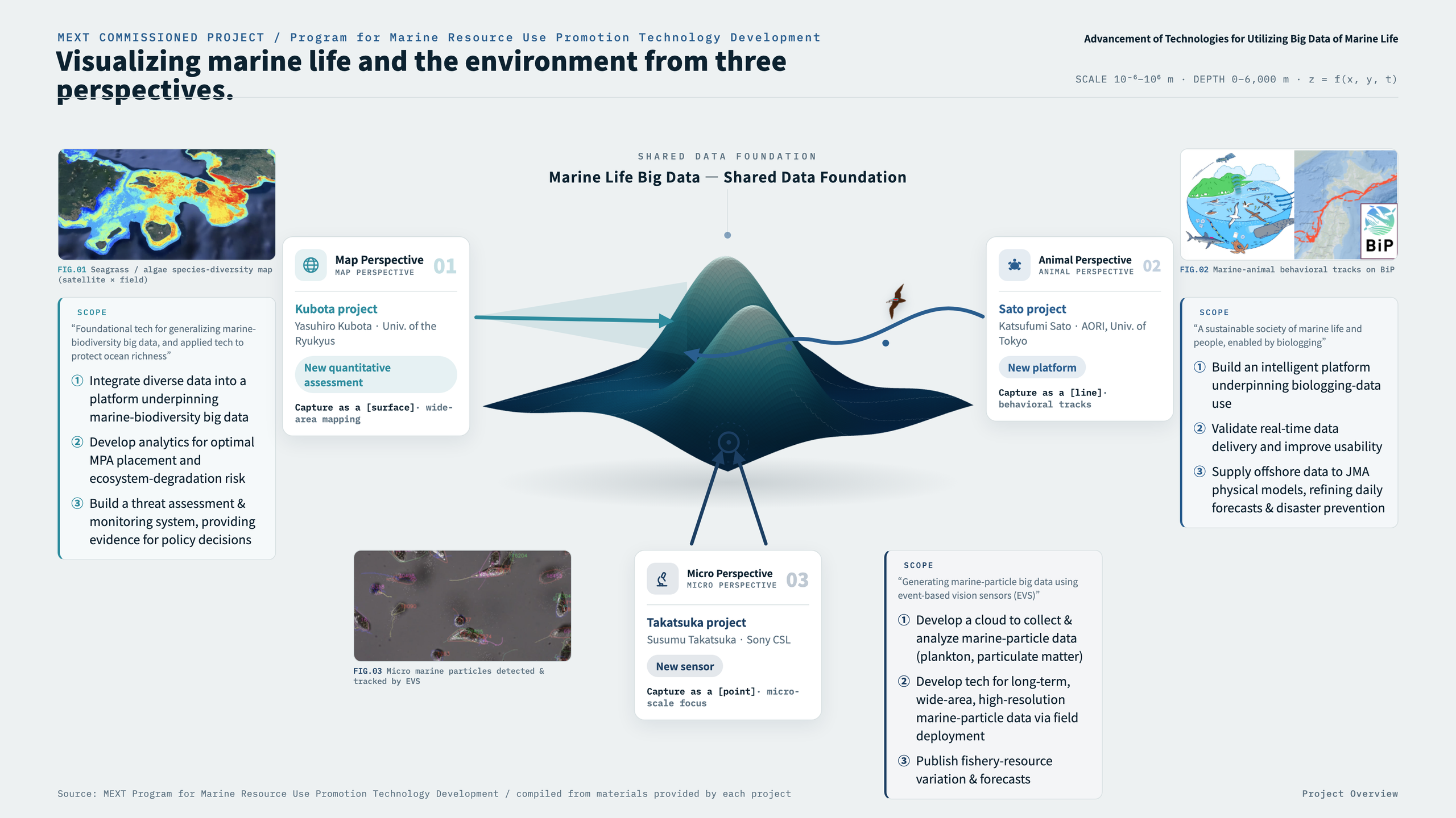 Project overview diagram: visualizing marine life and the environment from three perspectives (map, animal, micro). The central 3D surface represents the shared data foundation, around which the scope and figures of each theme are arranged — the Map perspective (Kubota Project / University of the Ryukyus, wide-area mapping), the Animal perspective (Sato Project / University of Tokyo, behavioral tracking), and the Micro perspective (Takatsuka Project / Sony Computer Science Laboratories, Inc., EVS particle sensing).